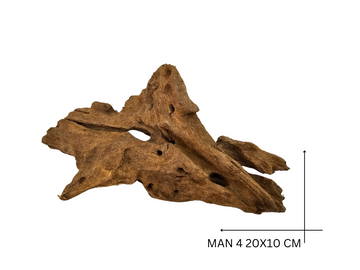 Mangrove Wood Koreň – MAN 4