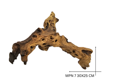 Mopani Koreň – MPN 7