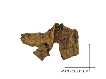 Mangrove Wood Koreň – MAN 7