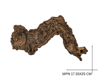 Mopani Koreň – MPN 17