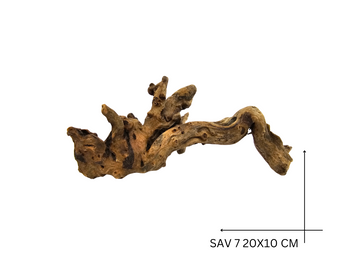 Savanna Wood Koreň – SAV 7