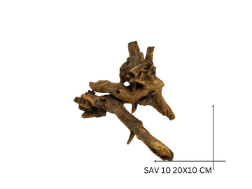 Savanna Wood Koreň – SAV 10