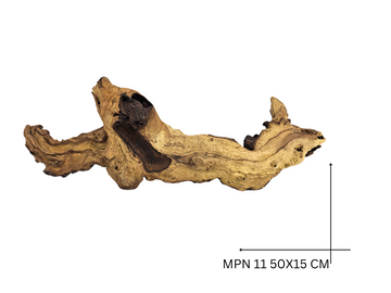 Mopani Koreň – MPN 11