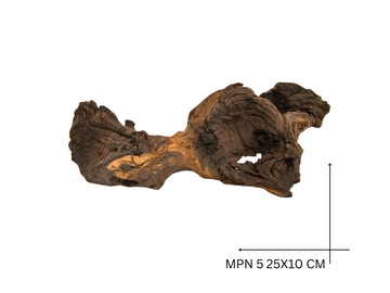 Mopani Koreň – MPN 5