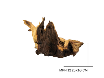 Mopani Koreň – MPN 12