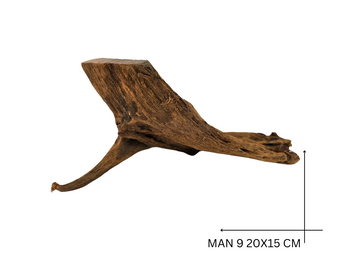 Mangrove Wood Koreň – MAN 9