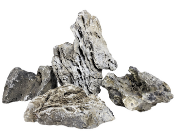 Seiryu Stone – ikonický kameň pre aquascaping