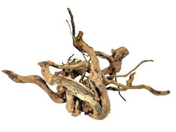 Red Moor Roots 30-40 cm