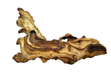 Mopani Korene M 10-40 cm