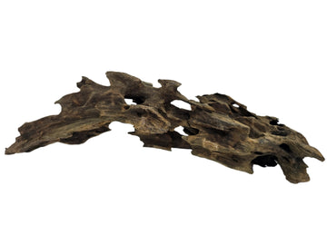 Dragon Wood Korene 20-55 cm
