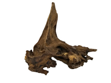 Savanna Wood Roots 15-20 cm
