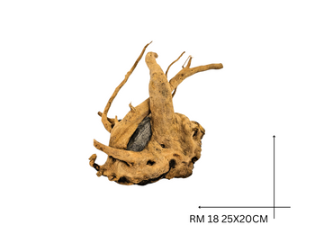 Red Moor Koreň – RM 18