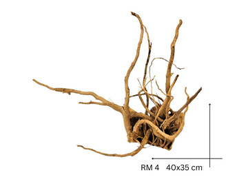 Red Moor Koreň – RM 4