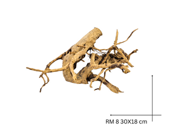 Red Moor Koreň – RM 8