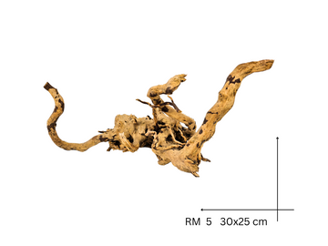 Red Moor Koreň – RM 5