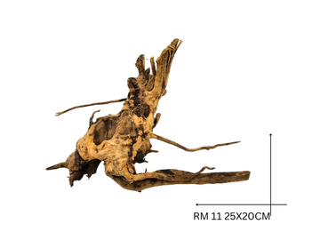 Red Moor Koreň – RM 11