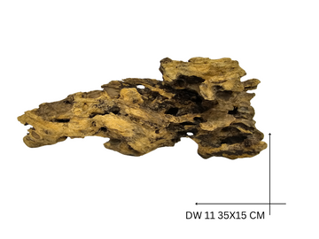 Dragon Wood Koreň – DW 11