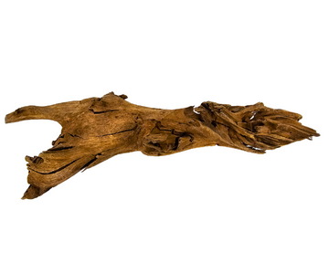 Yati Wood