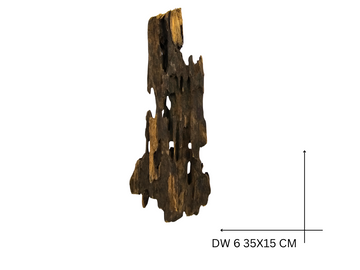 Dragon Wood Koreň – DW 6
