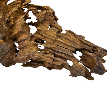 Yati Wood