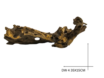 Dragon Wood Koreň – DW 4