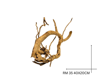 Red Moor Koreň – RM 35