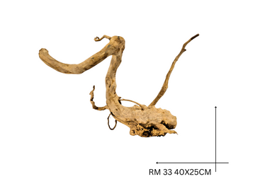 Red Moor Koreň – RM 33