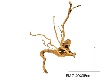 Red Moor Koreň – RM 7