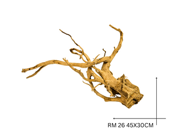 Red Moor Koreň – RM 26