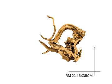 Red Moor Koreň – RM 21