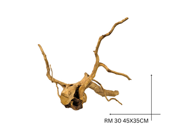 Red Moor Koreň – RM 30
