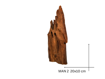 Mangrove Wood Koreň – MAN 2