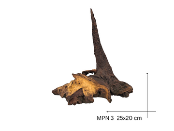 Mopani Koreň – MPN 3