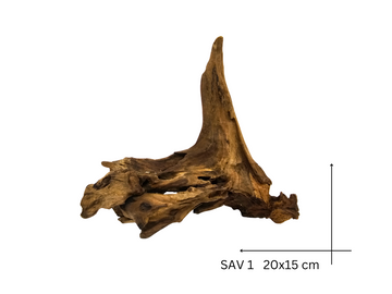 Savanna Wood Koreň – SAV 1