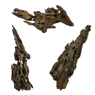 Dragon Wood Sety