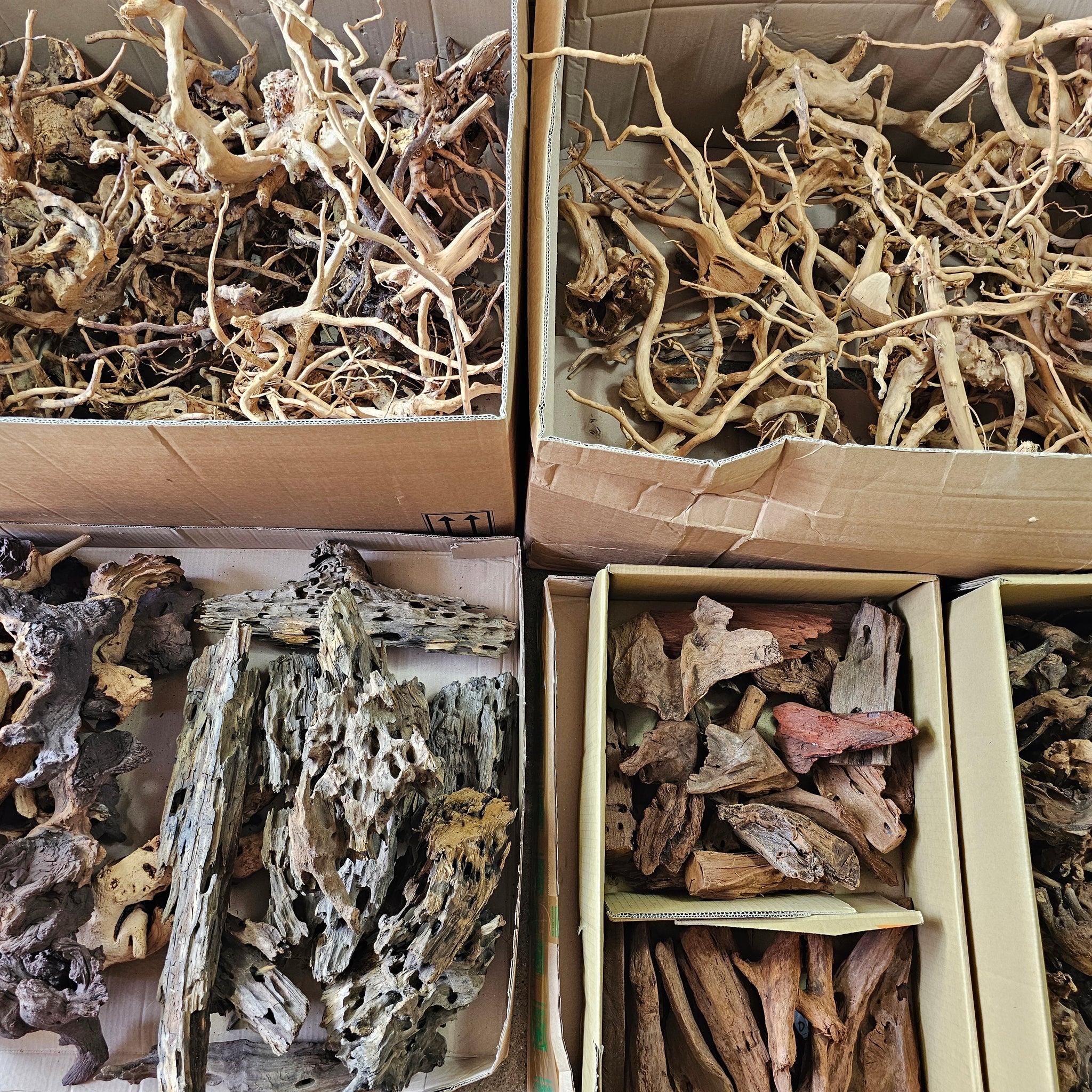 Kompletný Sprievodca Akváriovými a Teráriovými Koreňmi: Red Moor, Dragon Wood, Mopani, Mangrove a Savanna Wood