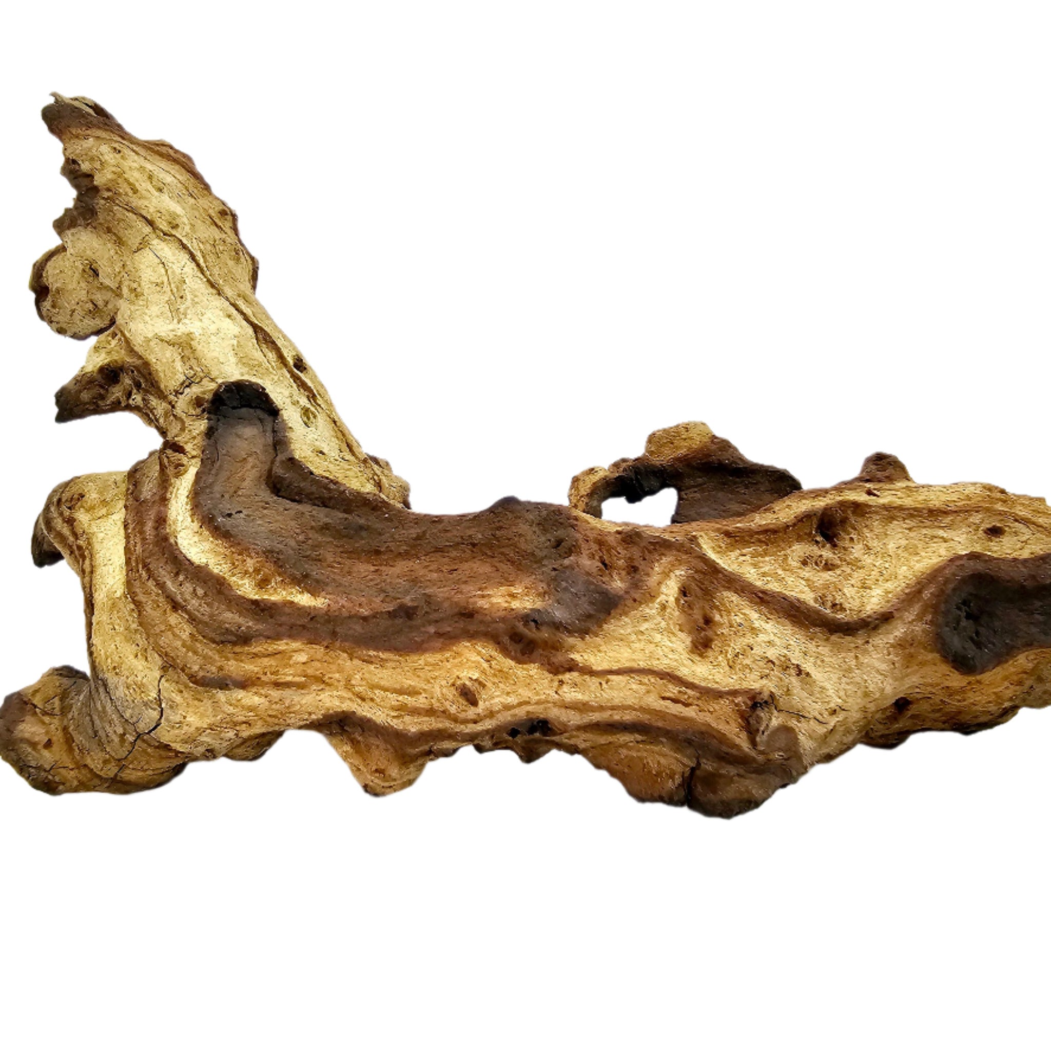 Mopani Korene M 10-40 cm