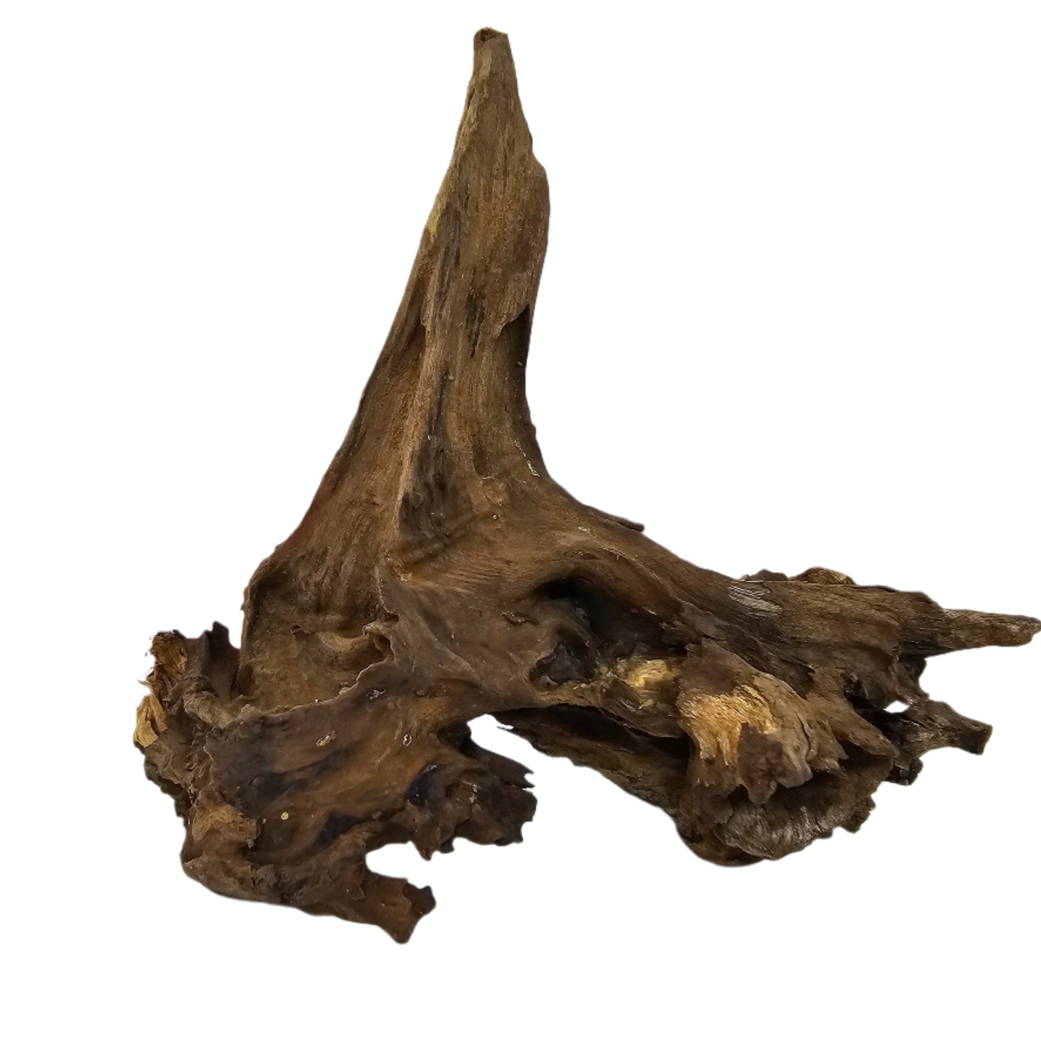 Savanna Wood Roots 15-20 cm