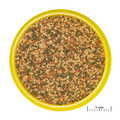 JBL PRONOVO BEL GRANO S