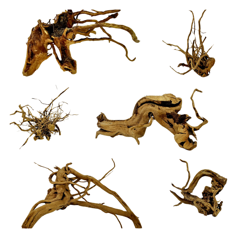 Red Moor Roots Sets – Natural Decoration for Your Aquarium and Terrarium